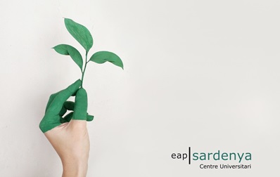 Dia Mundial del Medi Ambient