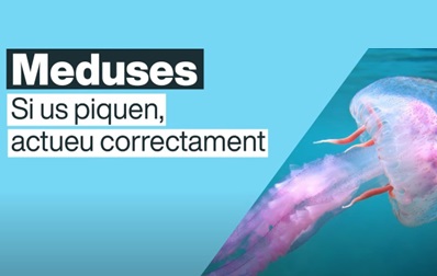 Meduses